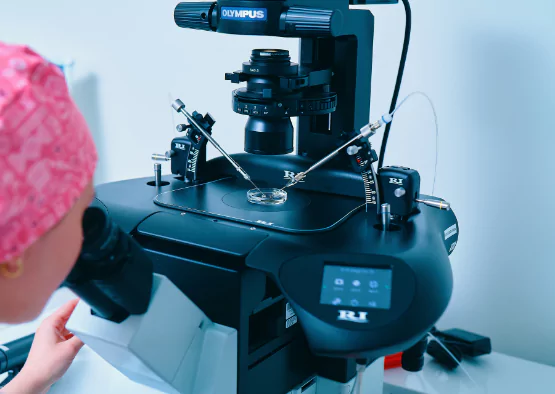 Klinika Bocian - Kielce