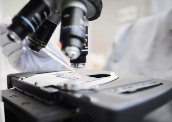 Klinika Bocian - Łódź